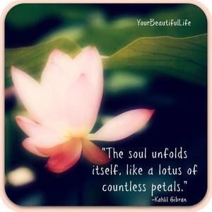 Meet your Posher, Lei